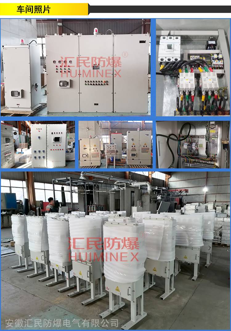 安徽乐动app官网入口防爆电气有限公司车间