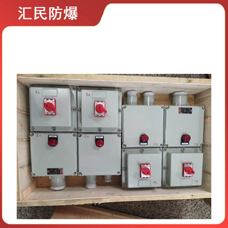 BXMD53防爆检修插座箱 非标定制 安徽乐动app官网入口防爆电气有限公司